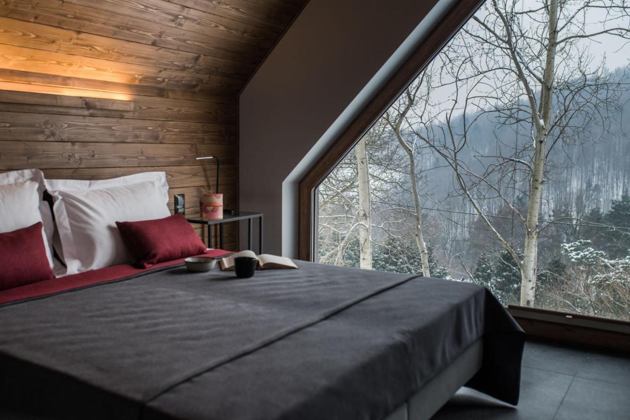 Aspen Deluxe Residence & Aspen Cottage Międzybrodzie Bialskie Εξωτερικό φωτογραφία