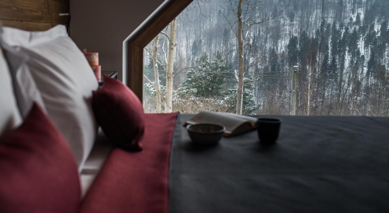 Aspen Deluxe Residence & Aspen Cottage Międzybrodzie Bialskie Εξωτερικό φωτογραφία